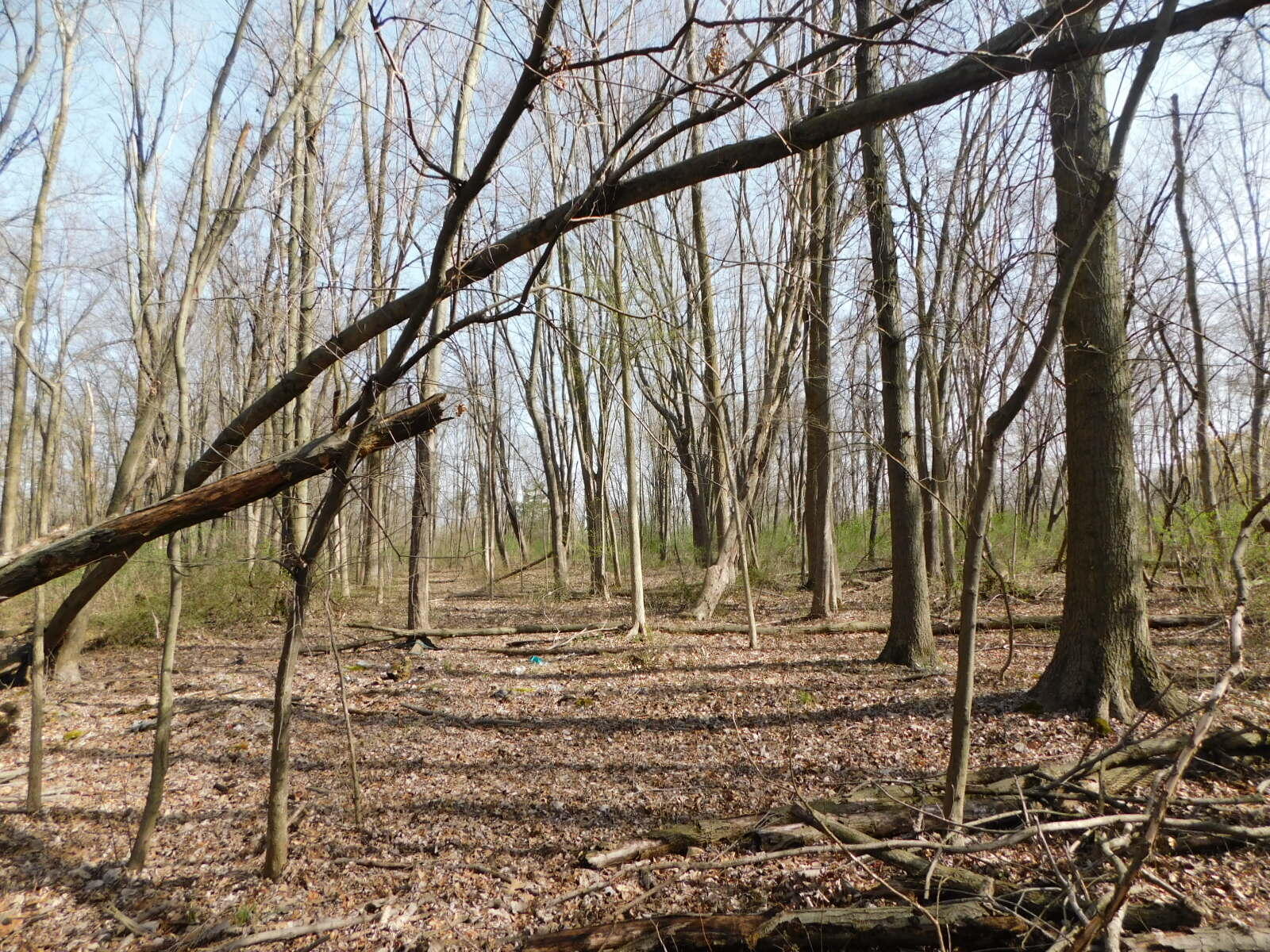 1976 Townline Road Benton Harbor, MI 49022 - Photo 20 of 28 DSCN7109