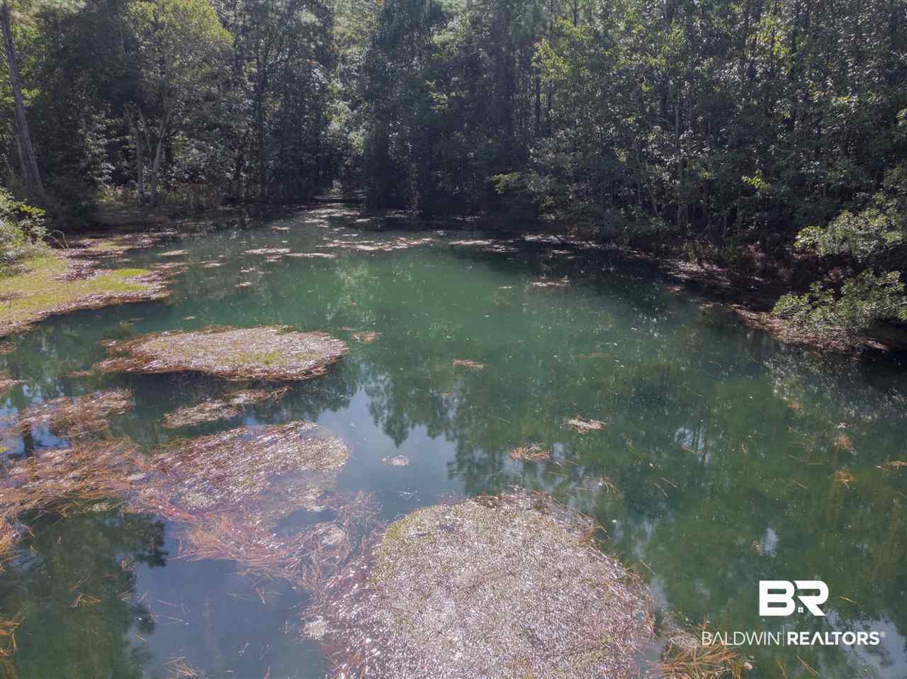 18424 County Road 16 Foley, AL 36535 - Photo 12 of 21