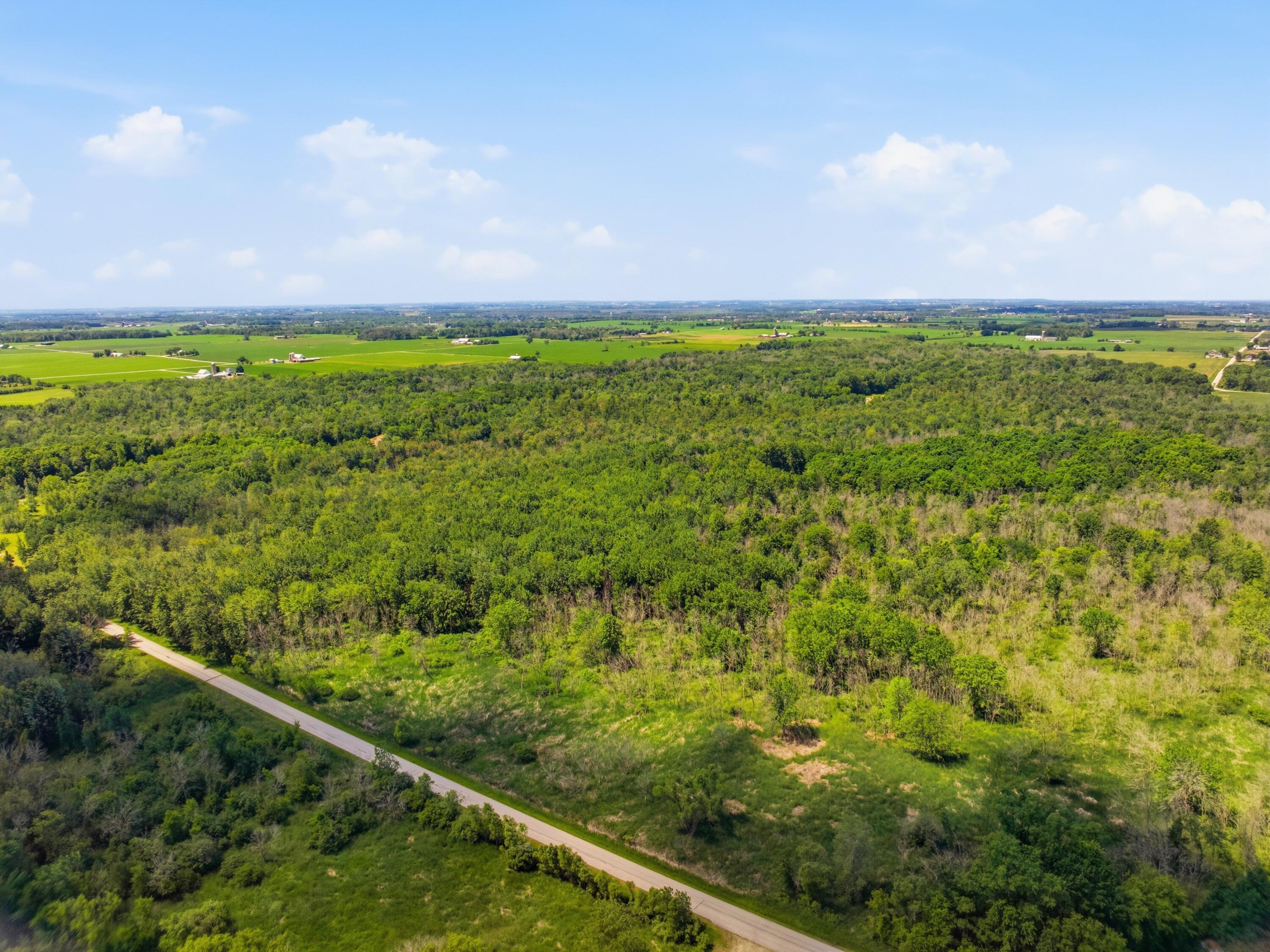 1 Tamarack Road Brillion, WI 54110 - Photo 6 of 18 Adjoining wooded land