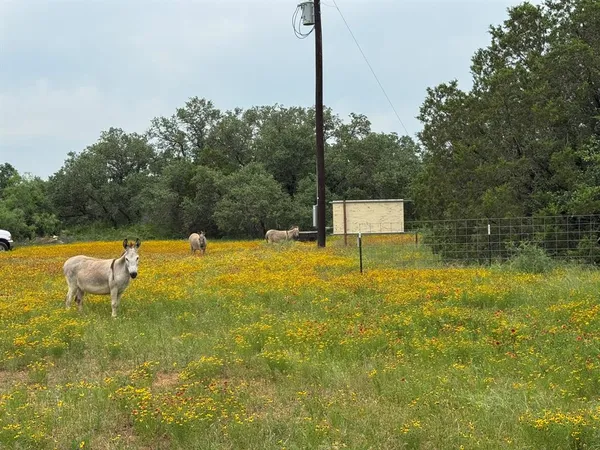 $299,000 | 12550 County Road 136, Ranger, TX 76470