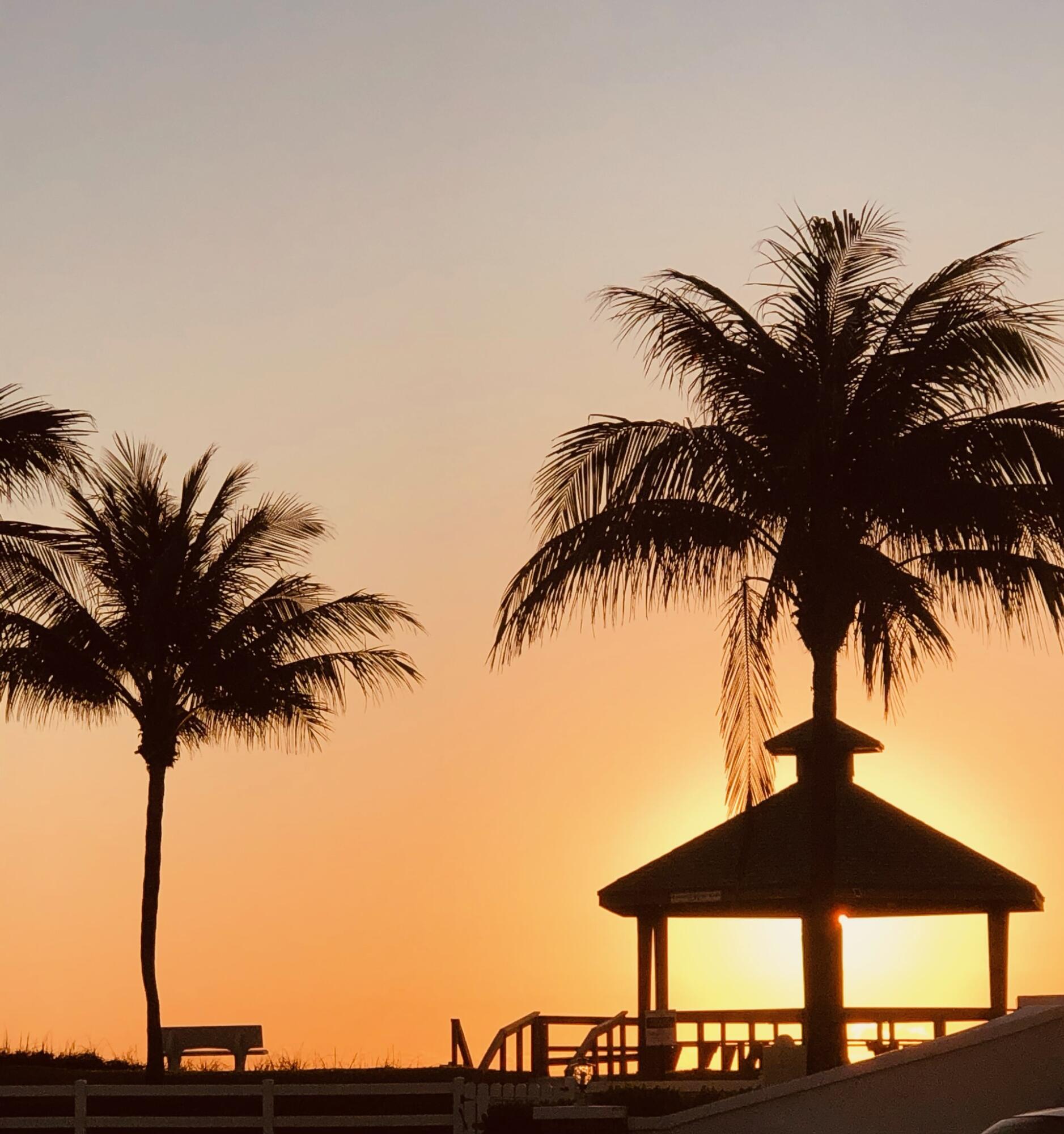 5505 North Ocean Blvd Unit 8202