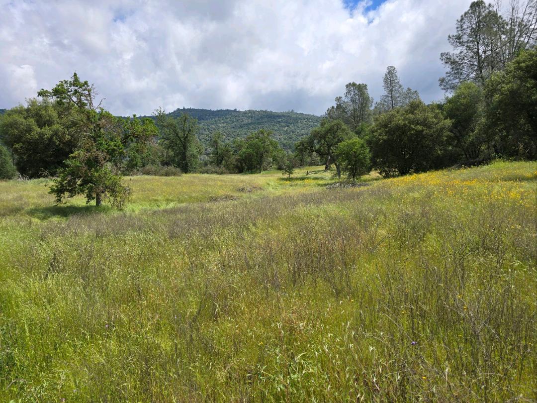 30028 Sycamore Road Tollhouse, CA 93667 - Photo 7 of 13 Gallery Image 7