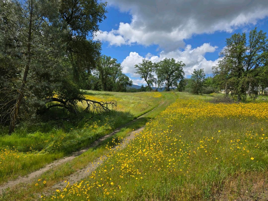 30028 Sycamore Road Tollhouse, CA 93667 - Photo 8 of 13 Gallery Image 8