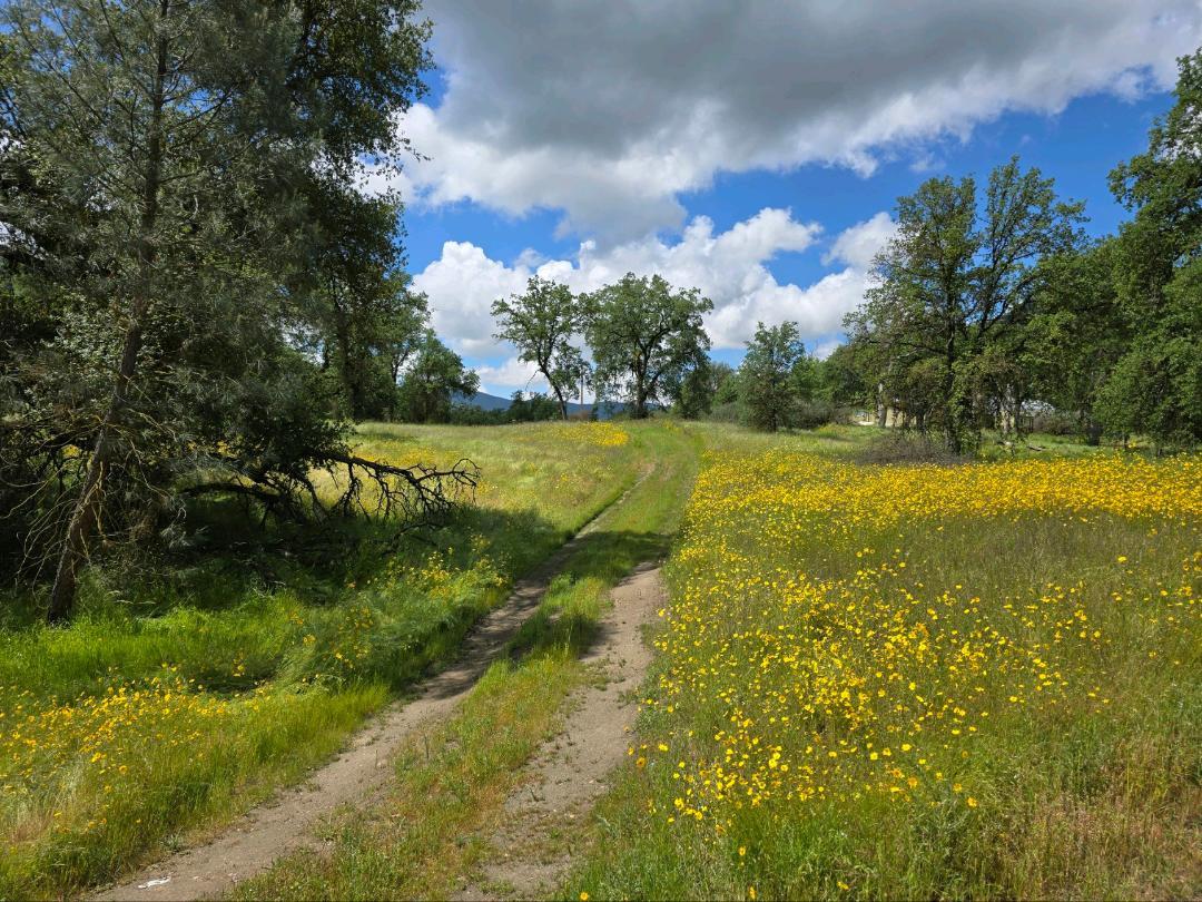 30028 Sycamore Road Tollhouse, CA 93667 - Photo 9 of 13 Gallery Image 9