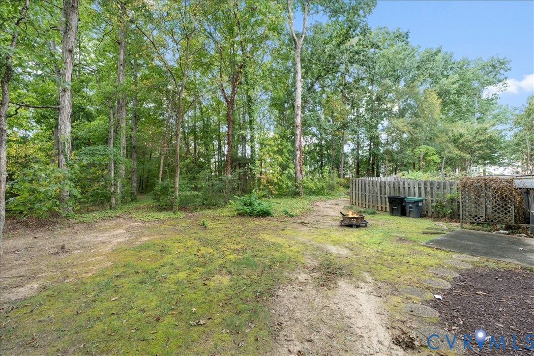 11601 Timberly Waye Henrico, VA 23238 - Photo 38 of 39 a backyard of a house with plants and trees