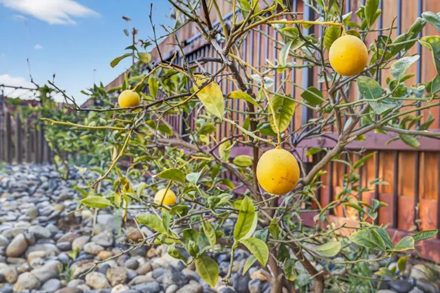 $500,000 | 7341 Elverta Rail Way, Rio Linda, CA 95673