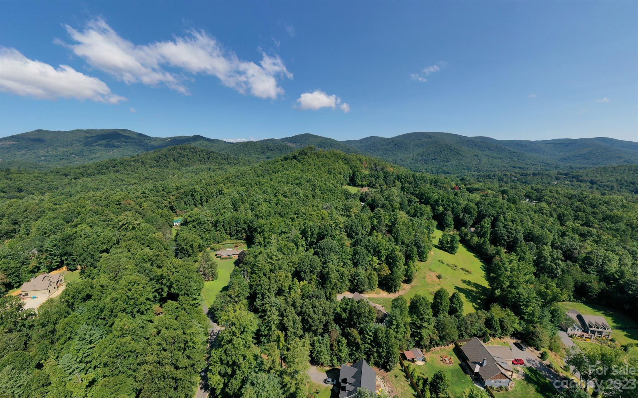 Tbd Harris Road Fairview, NC 28730 - Photo 1 of 24 Gallery Image 1