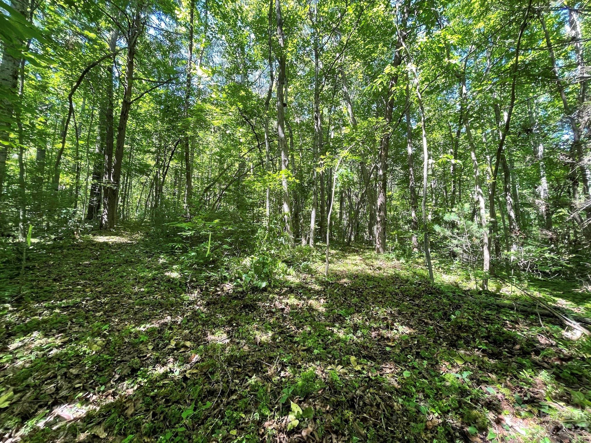 Tbd Harris Road Fairview, NC 28730 - Photo 11 of 24 Gallery Image 11