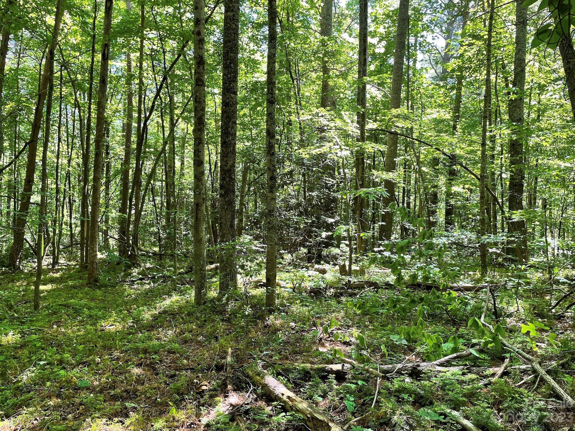 Tbd Harris Road Fairview, NC 28730 - Photo 17 of 24 Gallery Image 17