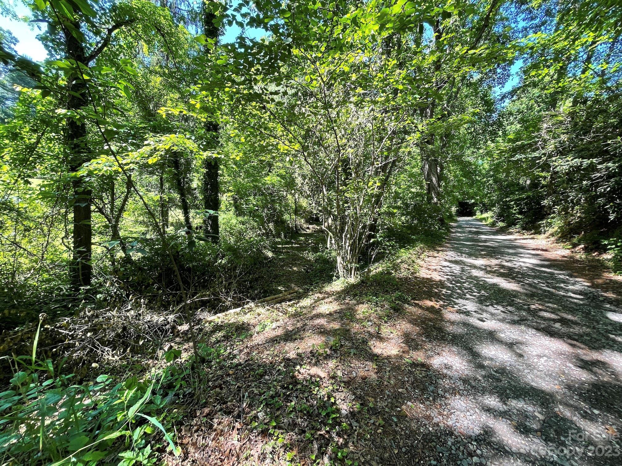 Tbd Harris Road Fairview, NC 28730 - Photo 5 of 24 Gallery Image 5