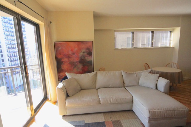 41 East 8th Street, Unit 1203 Chicago, IL 60605 - Photo 14 of 25