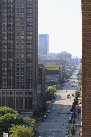41 East 8th Street, Unit 1203 Chicago, IL 60605 - Photo 19 of 25