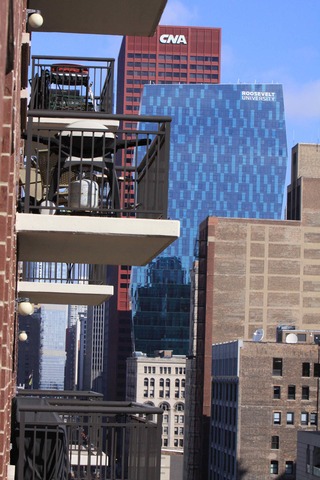41 East 8th Street, Unit 1203 Chicago, IL 60605 - Photo 20 of 25