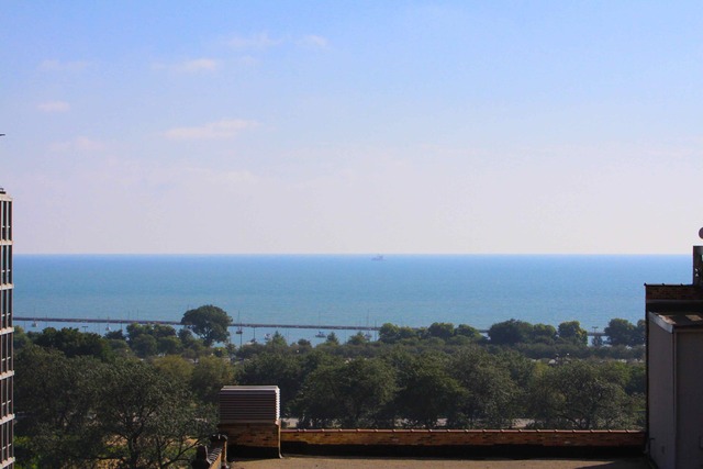 41 East 8th Street, Unit 1203 Chicago, IL 60605 - Photo 22 of 25