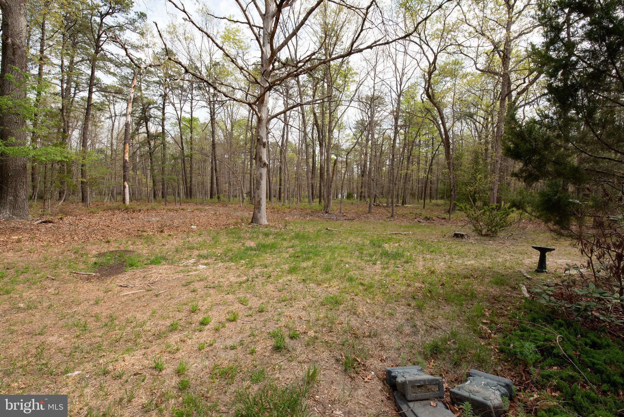 450 Weymouth Road Buena, NJ 08310 - Photo 14 of 48 a view of outdoor space with trees