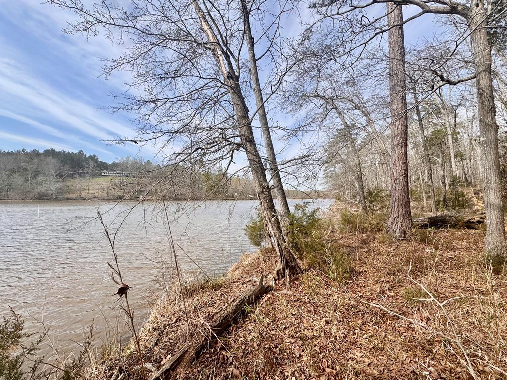 517 Terrapin Pointe Road Hodges, SC 29653 - Photo 24 of 29
