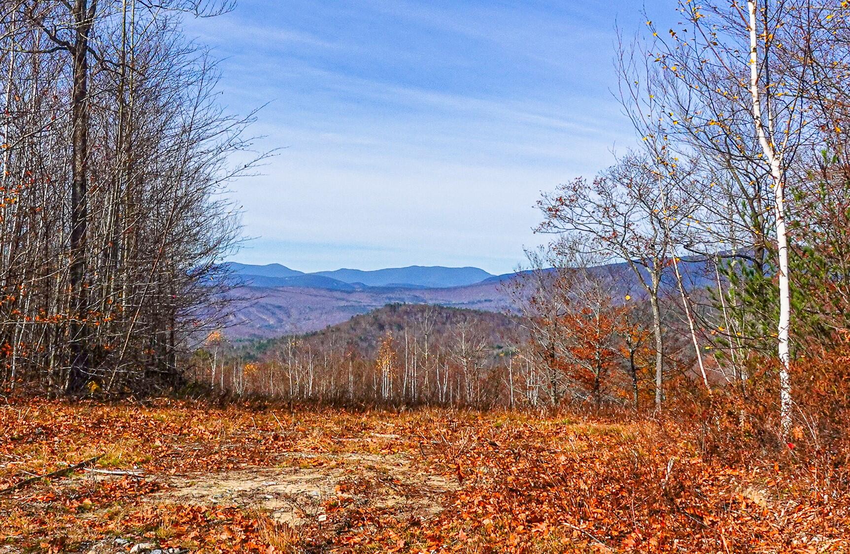 Lot 1 Mine Road Stoneham, ME 04231 - Photo 1 of 5 Lot 1-merrill farm lots-68 copy