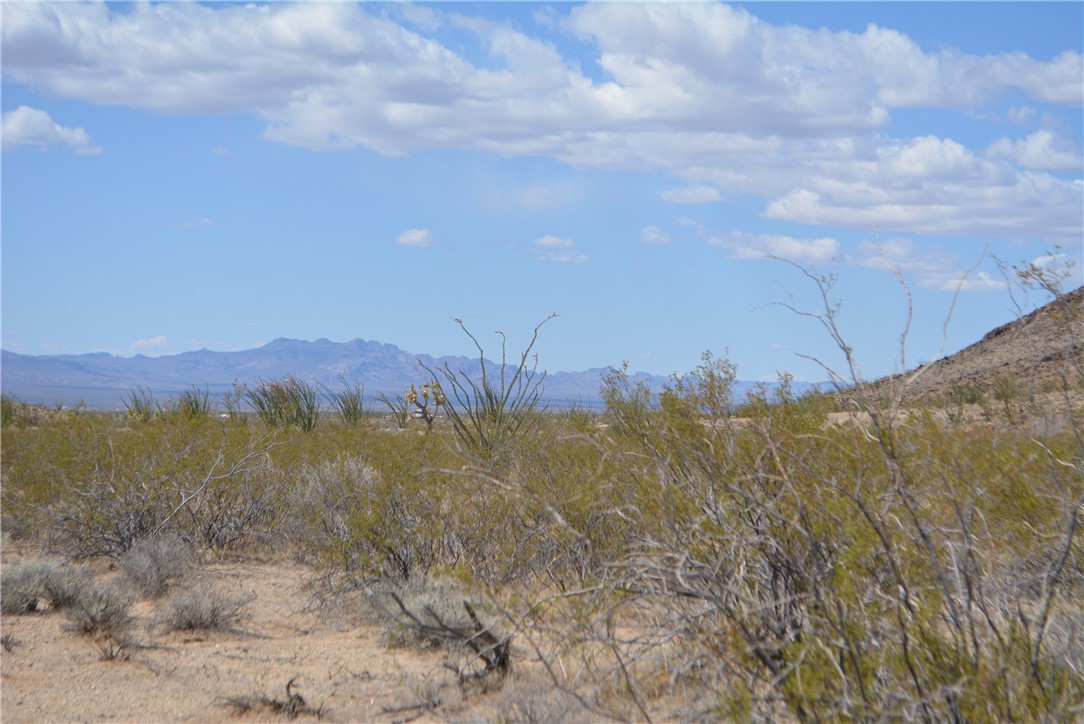 D3 South Duncan Road Yucca, AZ 86438 - Photo 13 of 71 View