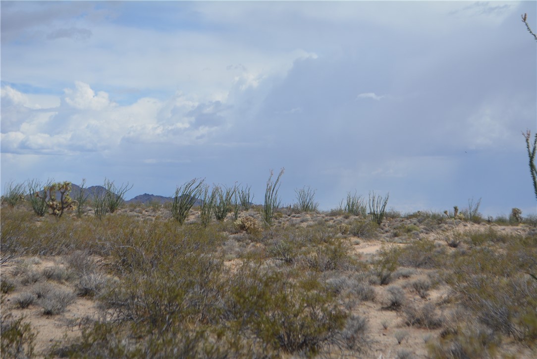 D3 South Duncan Road Yucca, AZ 86438 - Photo 28 of 71 Other