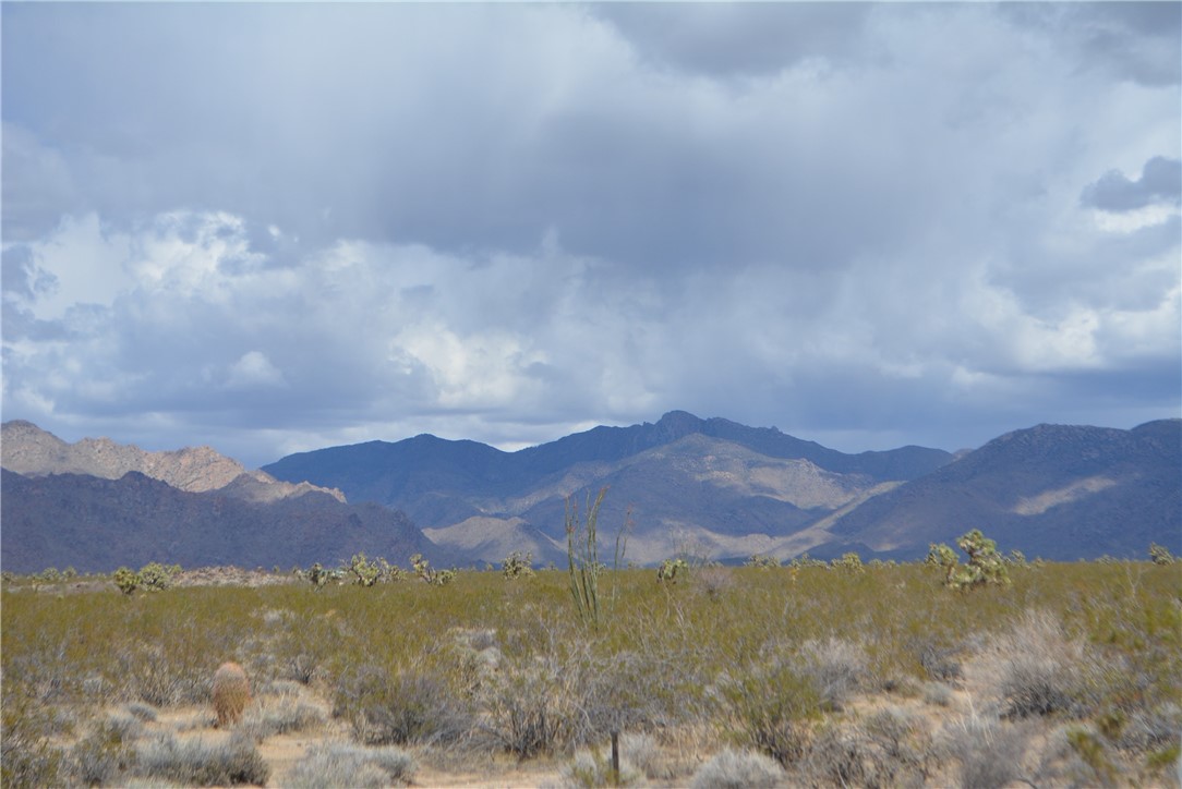 D3 South Duncan Road Yucca, AZ 86438 - Photo 44 of 71 View