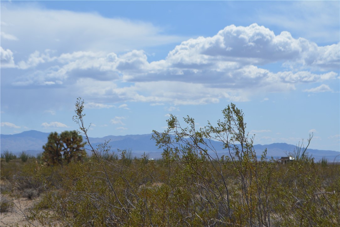 D3 South Duncan Road Yucca, AZ 86438 - Photo 50 of 71 View