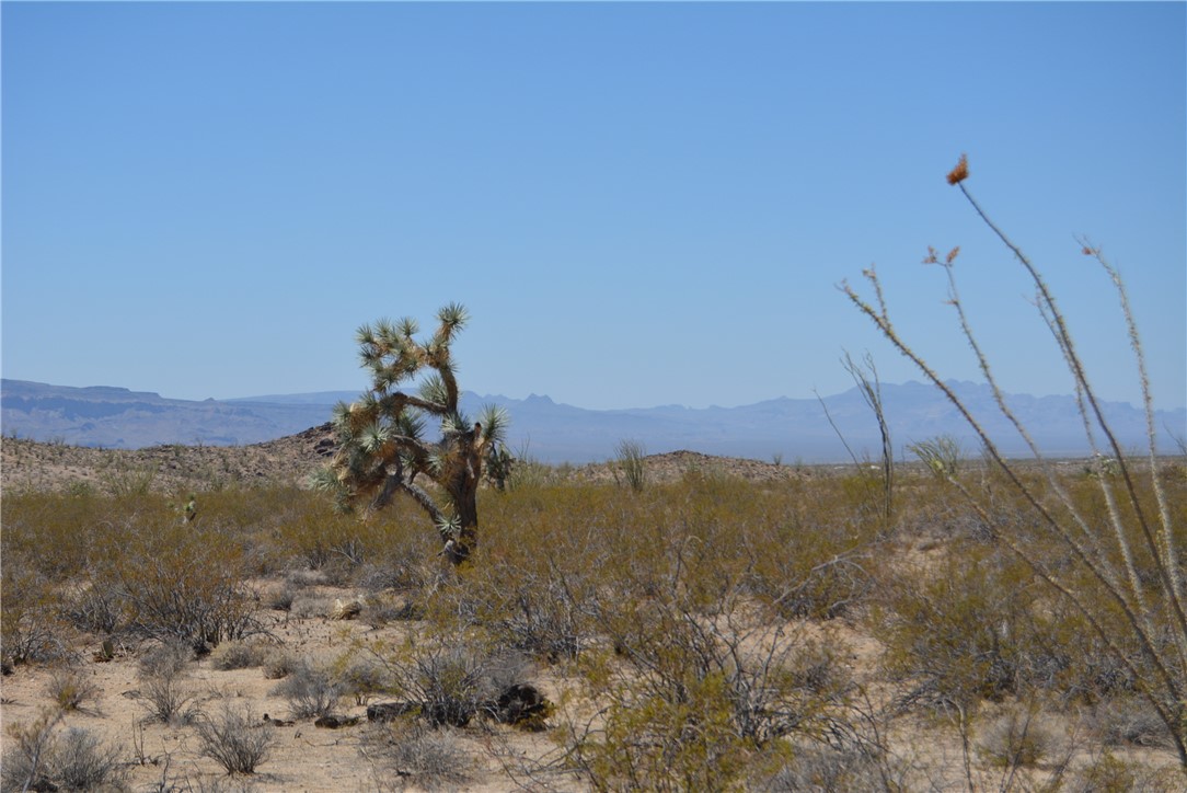 D3 South Duncan Road Yucca, AZ 86438 - Photo 69 of 71 View