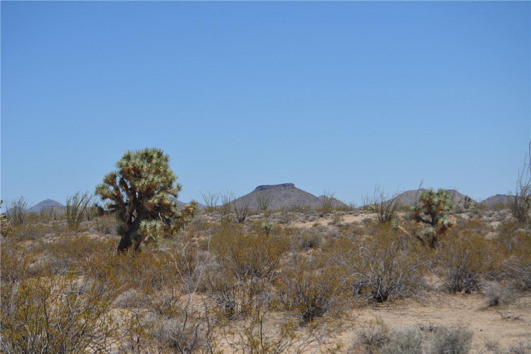 D3 South Duncan Road Yucca, AZ 86438 - Photo 70 of 71 View