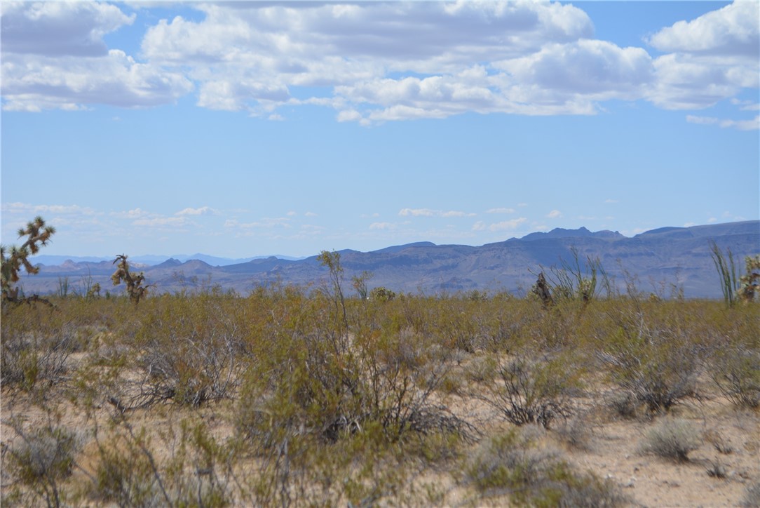 D3 South Duncan Road Yucca, AZ 86438 - Photo 8 of 71 View
