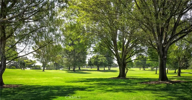 a big yard with lots of trees