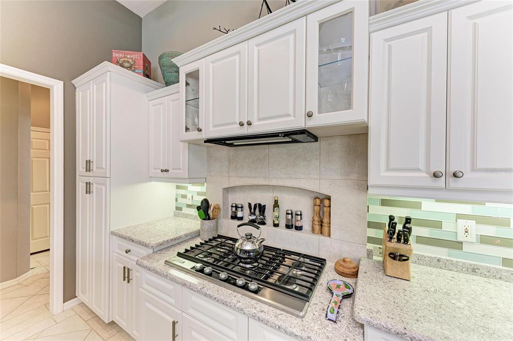 8118 Waterview Boulevard Lakewood Ranch, FL 34202 - Photo 16 of 78