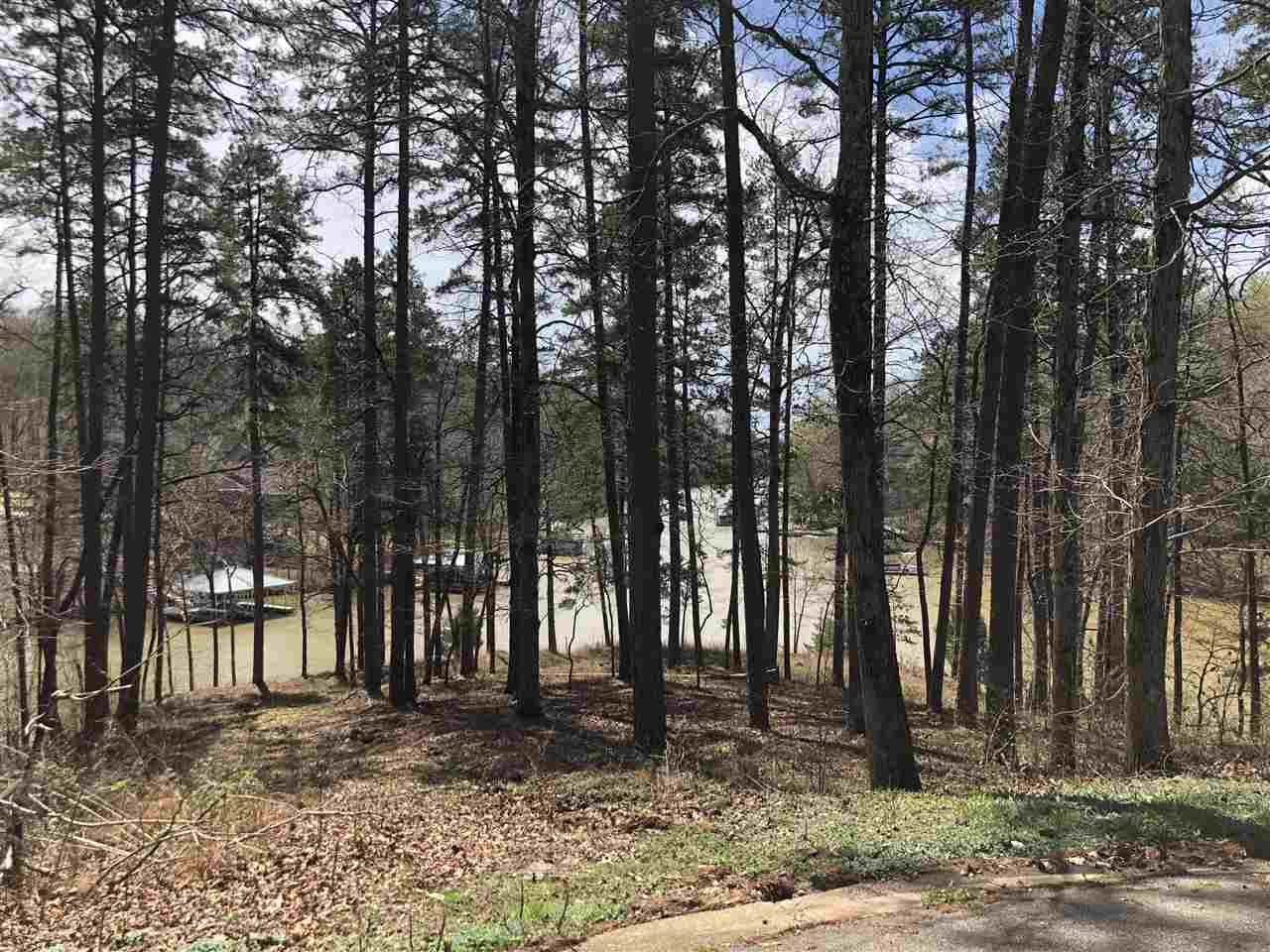 170 Native Leaf Cove Savannah, TN 38372 - Photo 4 of 21