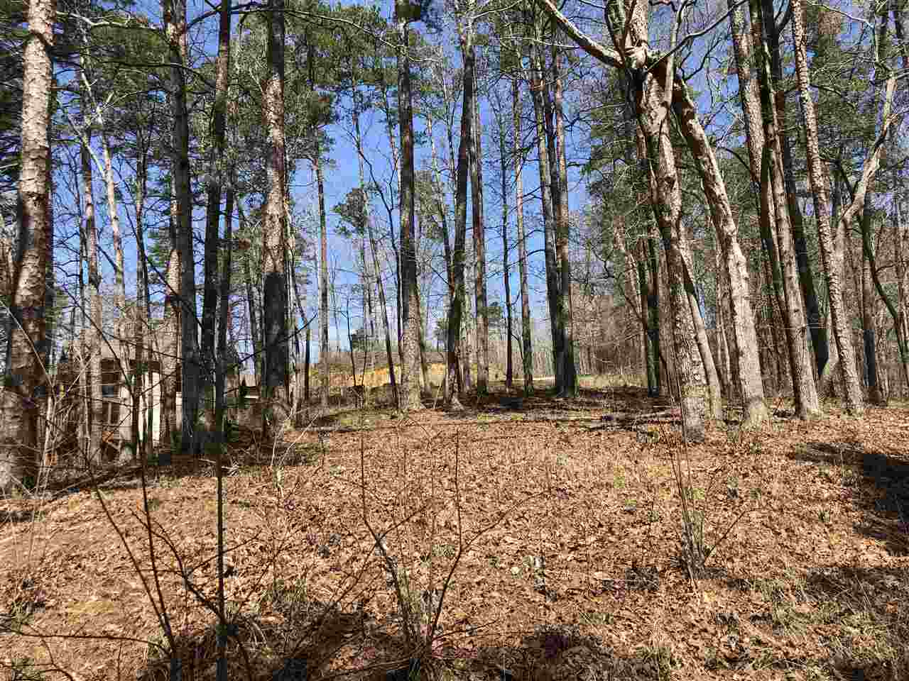 170 Native Leaf Cove Savannah, TN 38372 - Photo 7 of 21