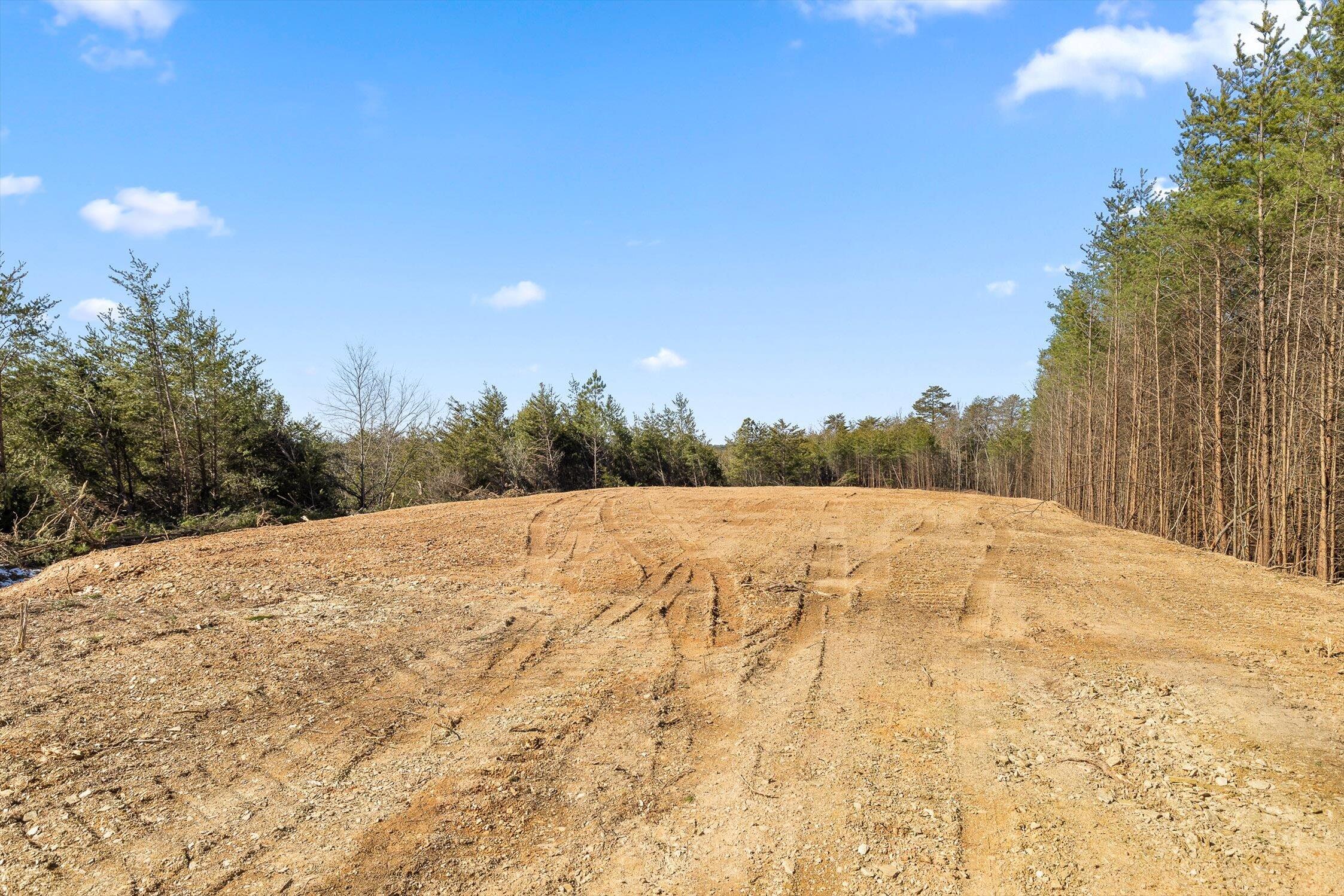 92-4 Old Sawmill Road Chatsworth, GA 30705 - Photo 11 of 30 11-Tract 4-5