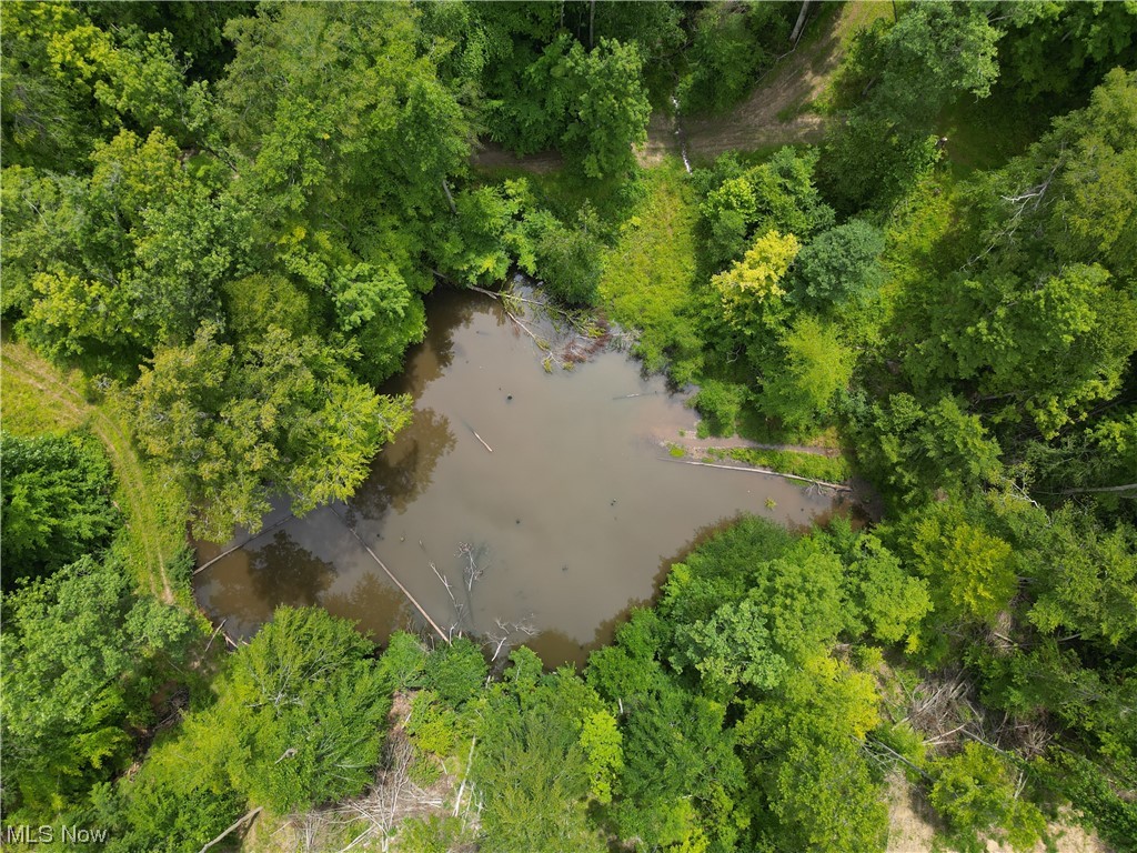 4101 Sand Ridge Road Normantown, WV 25267 - Photo 7 of 23