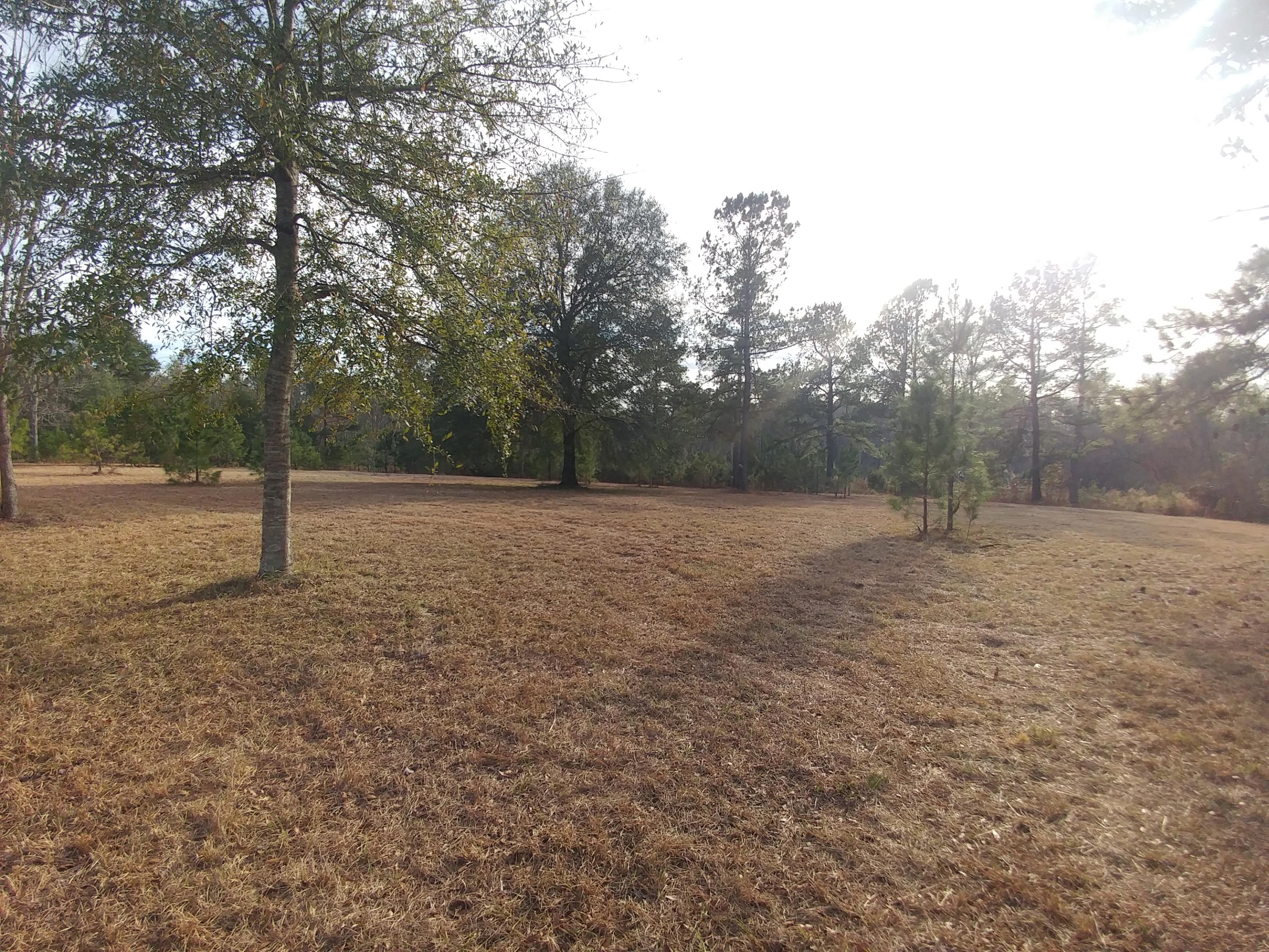 Land view