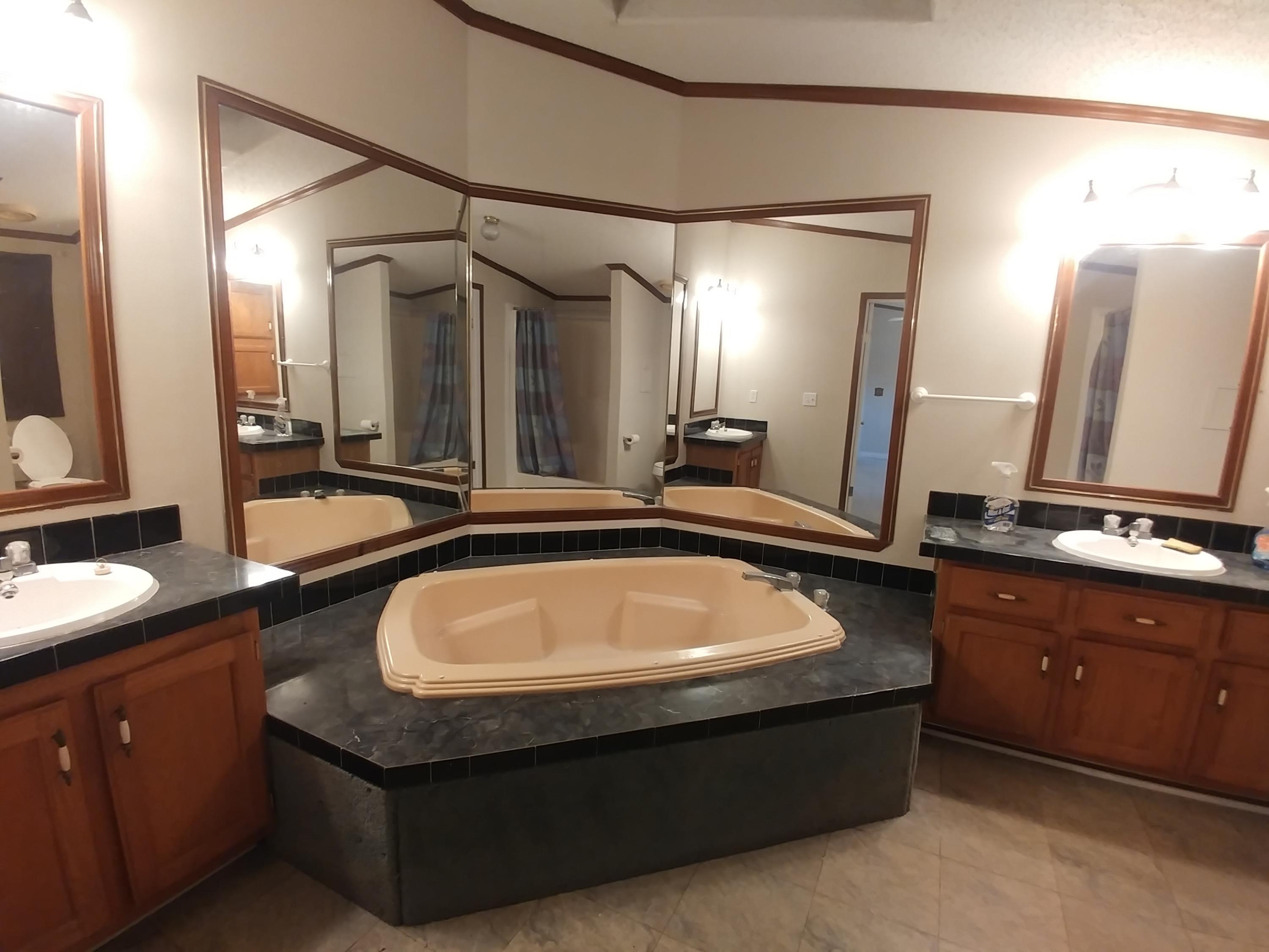 177 Creek Road Reevesville, SC 29471 - Photo 13 of 17 Master Bath
