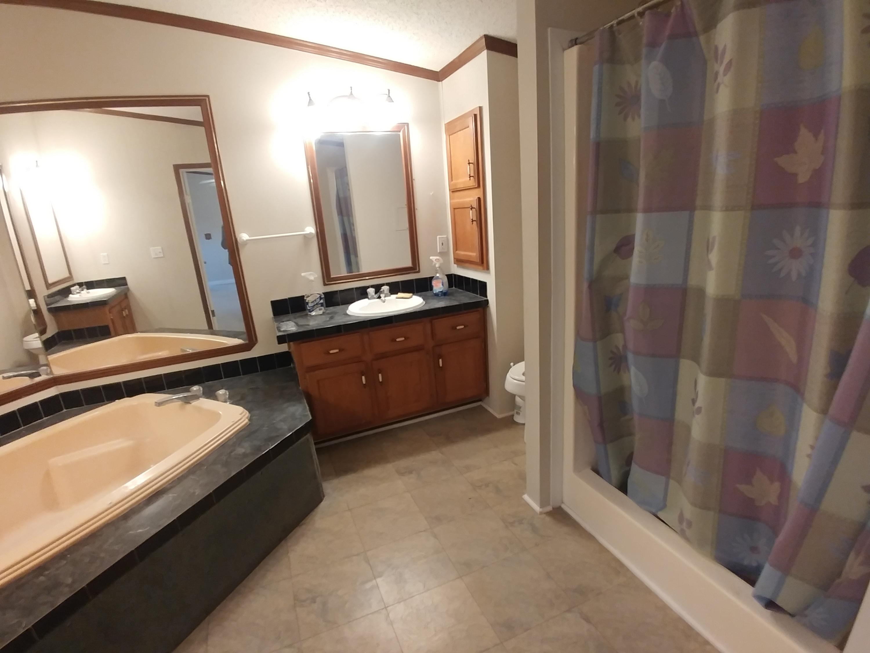 177 Creek Road Reevesville, SC 29471 - Photo 14 of 17 Master Bath v2