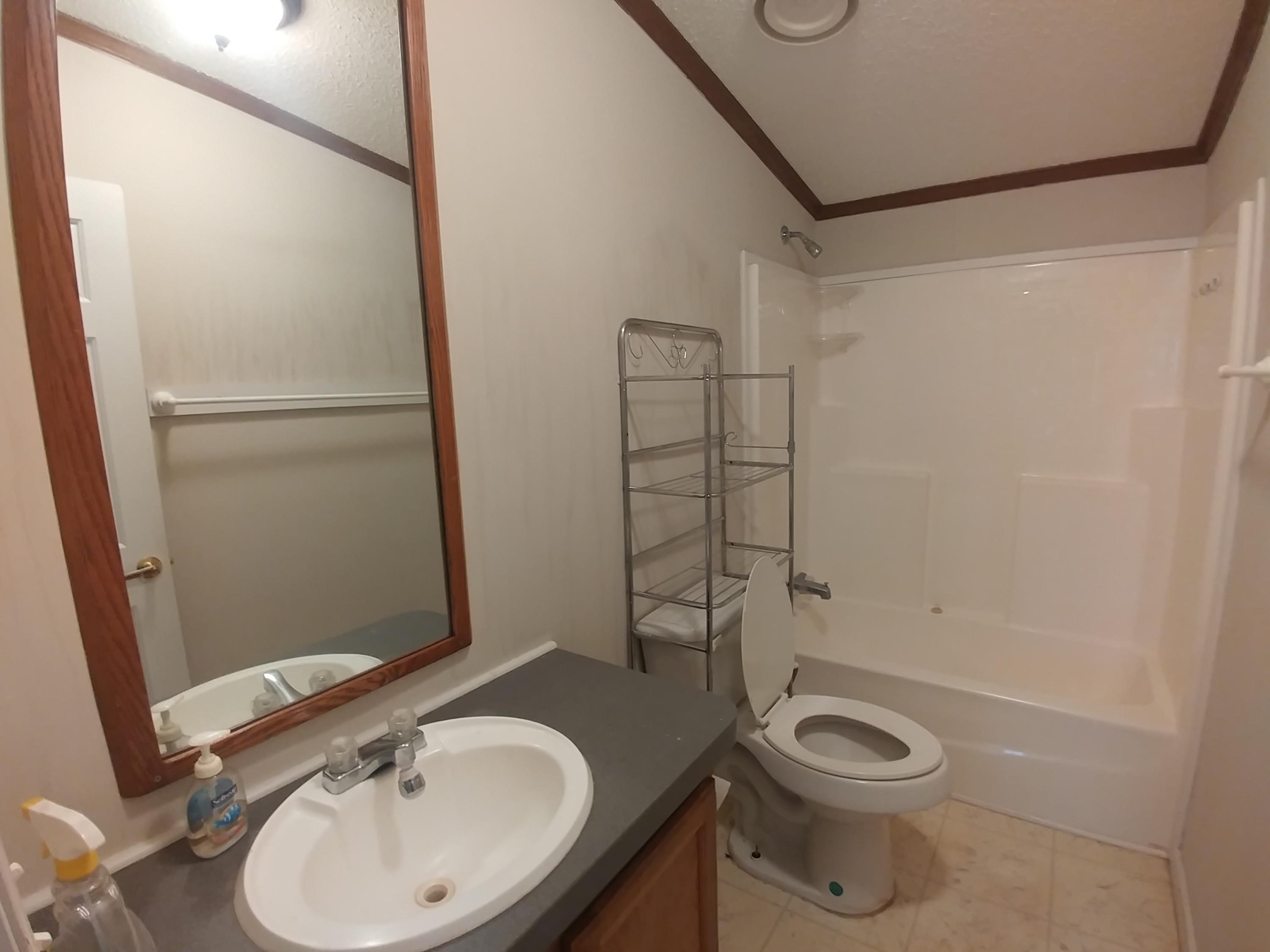 177 Creek Road Reevesville, SC 29471 - Photo 16 of 17 Guest Bath