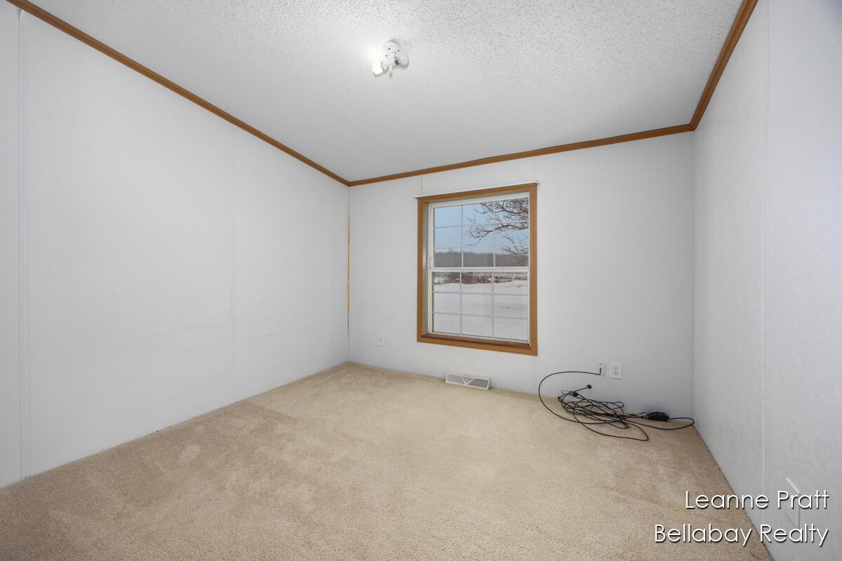 9820 West 5 Point Highway Bellevue, MI 49021 - Photo 24 of 24 IMG_1016