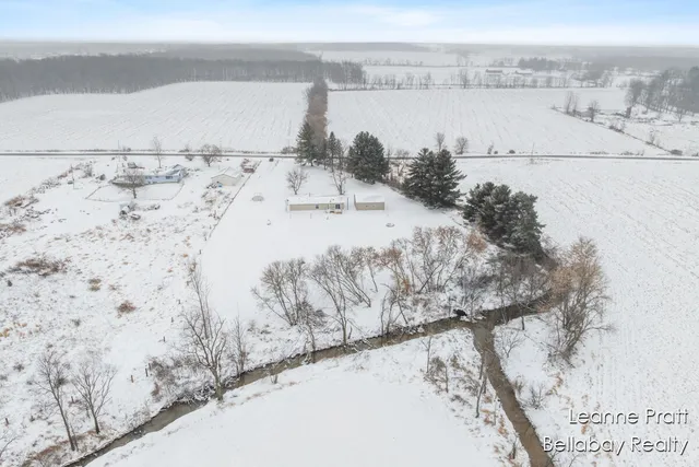 $225,000 | 9820 West 5 Point Highway, Bellevue, MI 49021