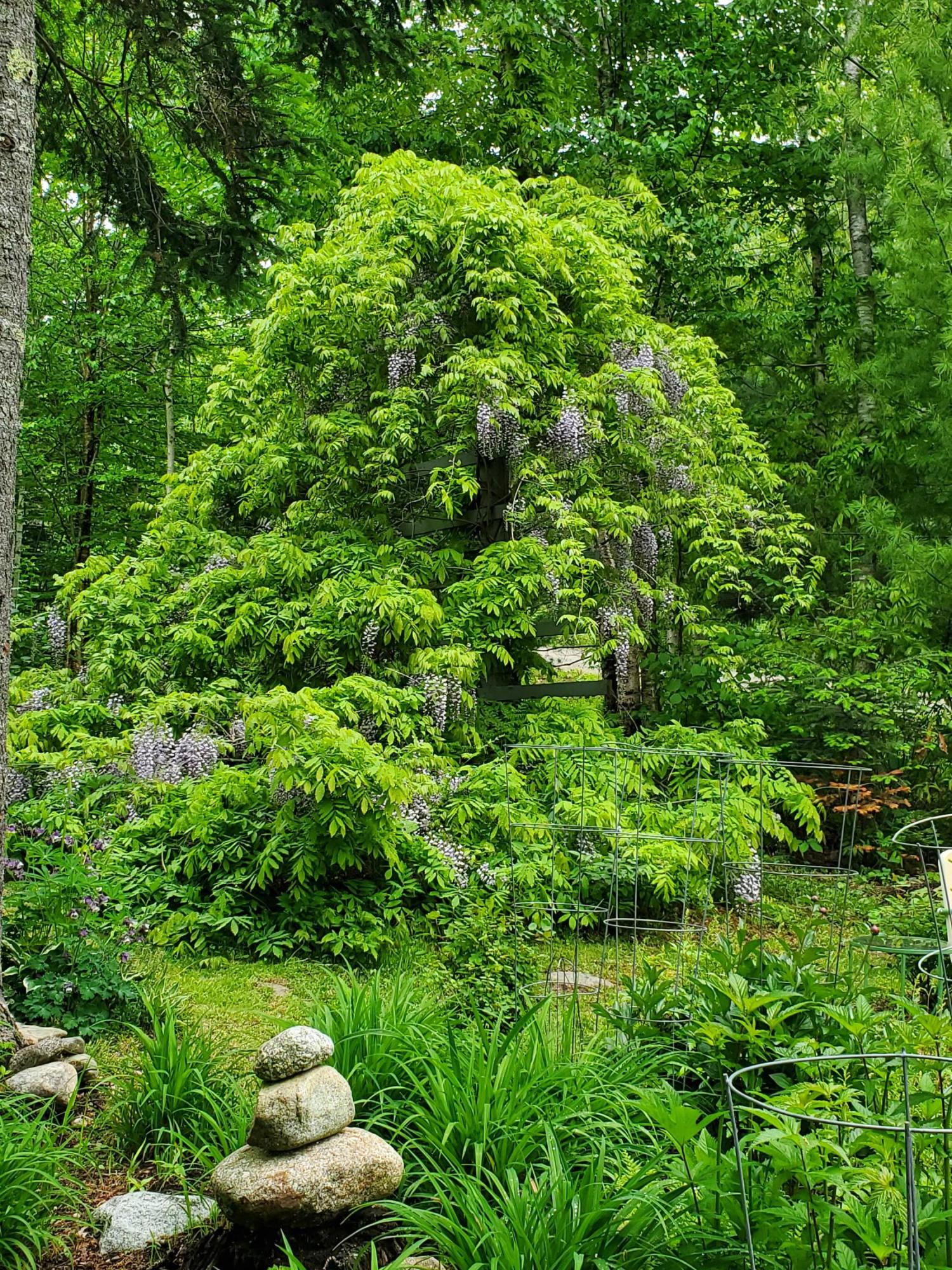 36 Granite Hill Road Pemaquid, ME 04558 - Photo 87 of 134 landscape2