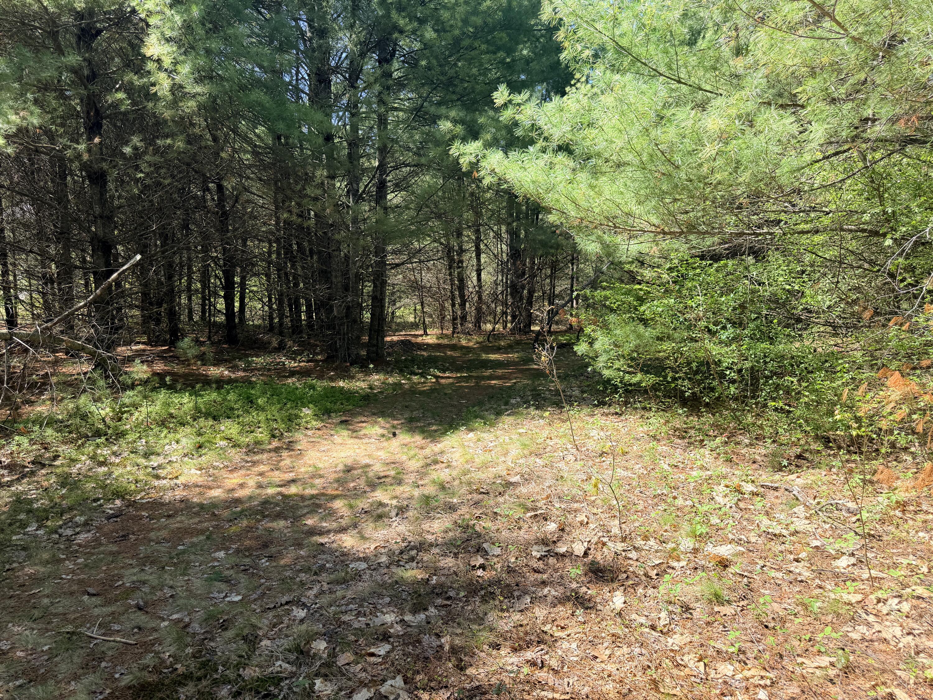 Lot 4 Emery Road Parsonsfield, ME 04047 - Photo 11 of 42 IMG_5330