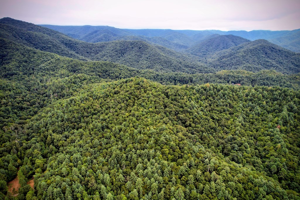 0 Flea Mountain Road Murphy, NC 28906 - Photo 44 of 54