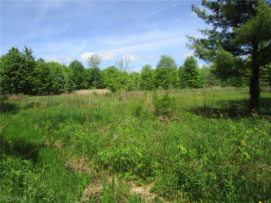 Vl Doyle Road Jefferson, OH 44047 - Photo 35 of 42