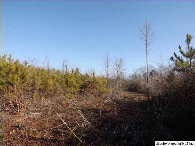 286 County Road, Unit 85 Collinsville, AL 35961 - Photo 4 of 23