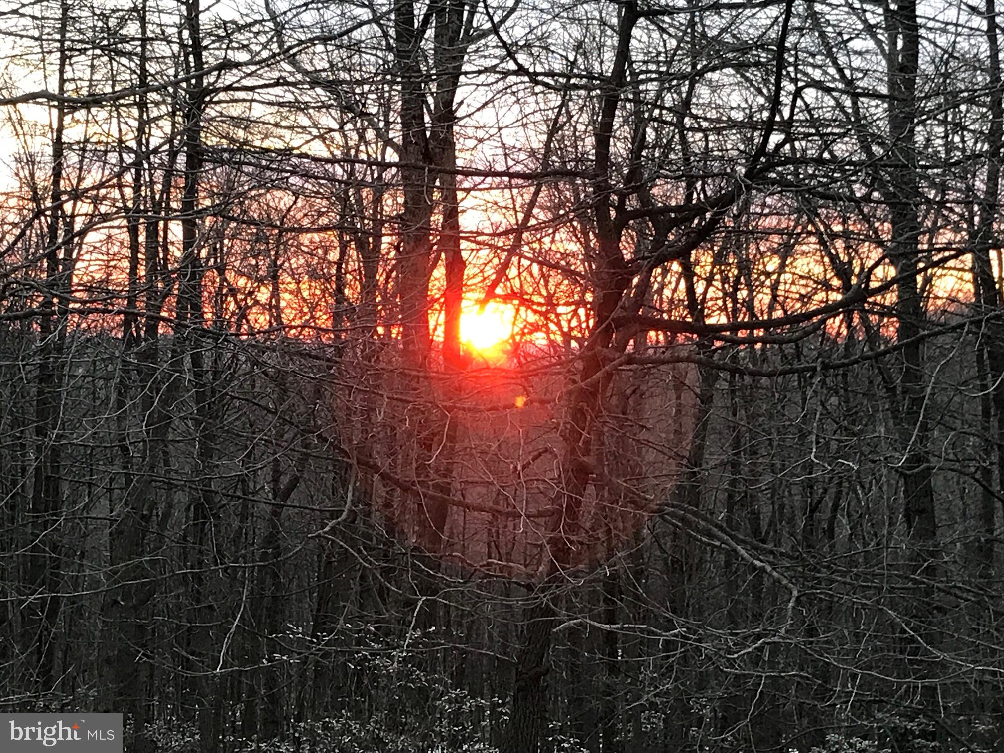 10830 Gambrill Park Road Frederick, MD 21702 - Photo 2 of 33 View - Sunset ... how peaceful ...