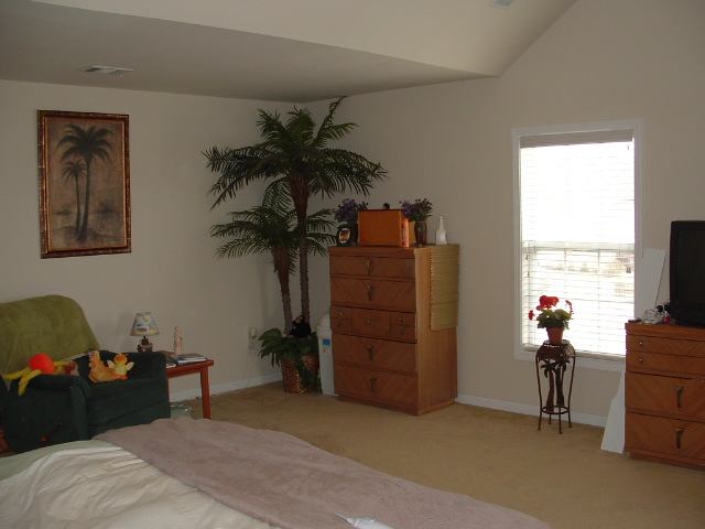 17 Canso Street Greenville, SC 29607 - Photo 5 of 9