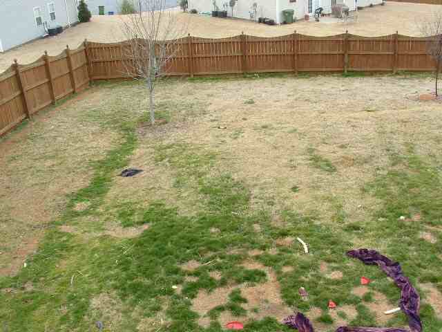 17 Canso Street Greenville, SC 29607 - Photo 9 of 9