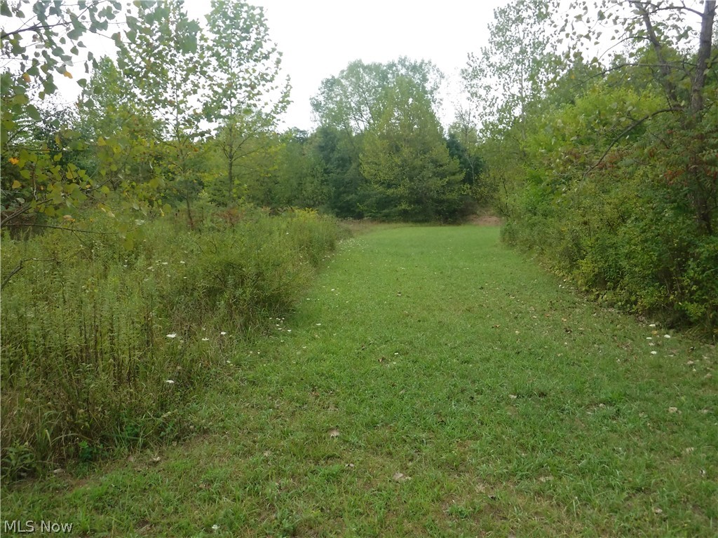 River Road North Dresden, OH 43821 - Photo 20 of 32 Large sand hill in foreground would make a great shooting range backstop. More woods and a stream is to the right.