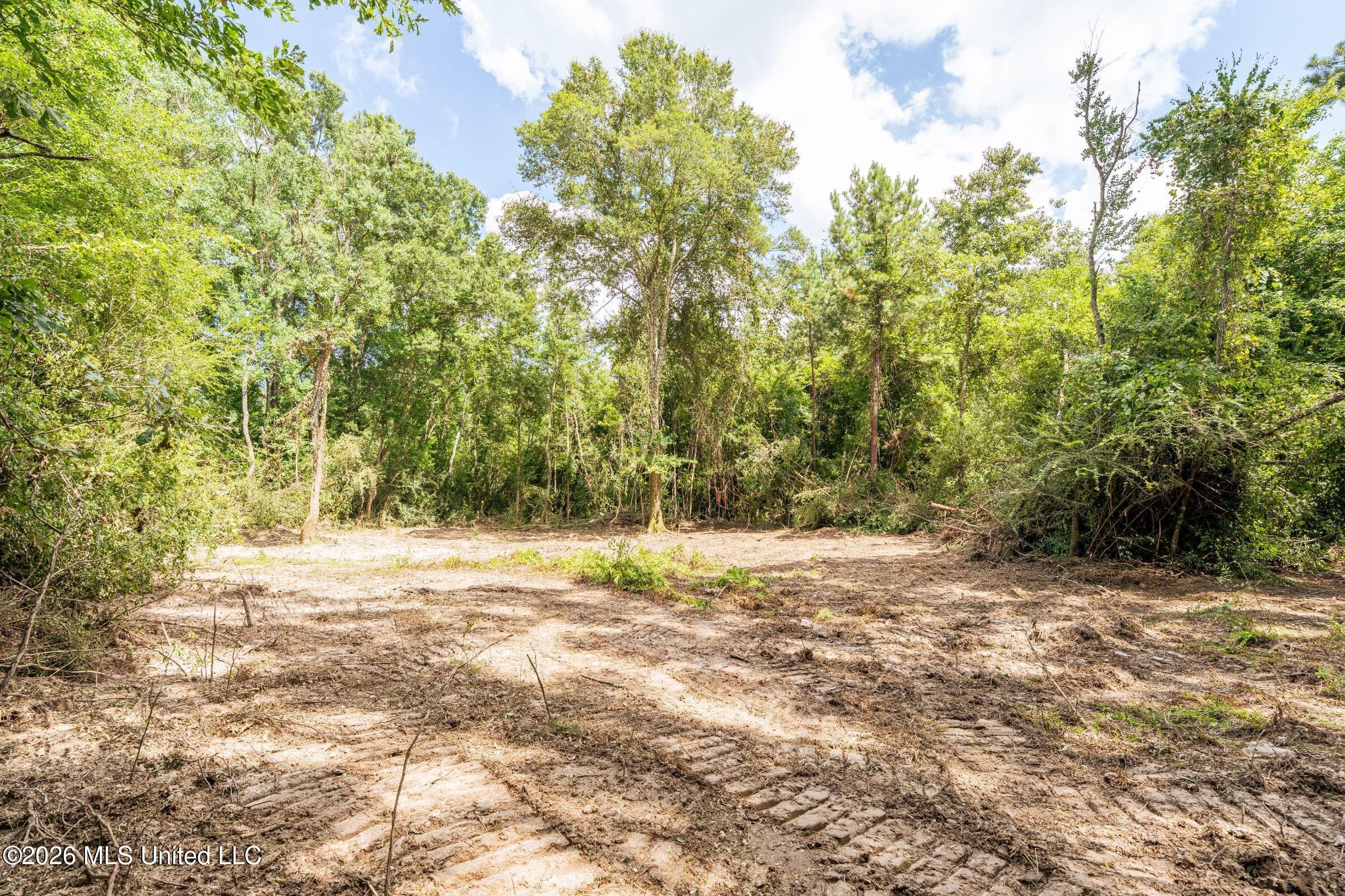 Glading Road Magnolia, MS 39652 - Photo 43 of 55 DSC00370